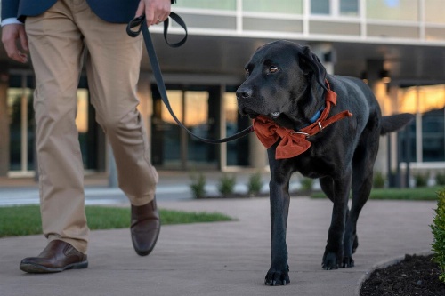 Peppers Silo image 1